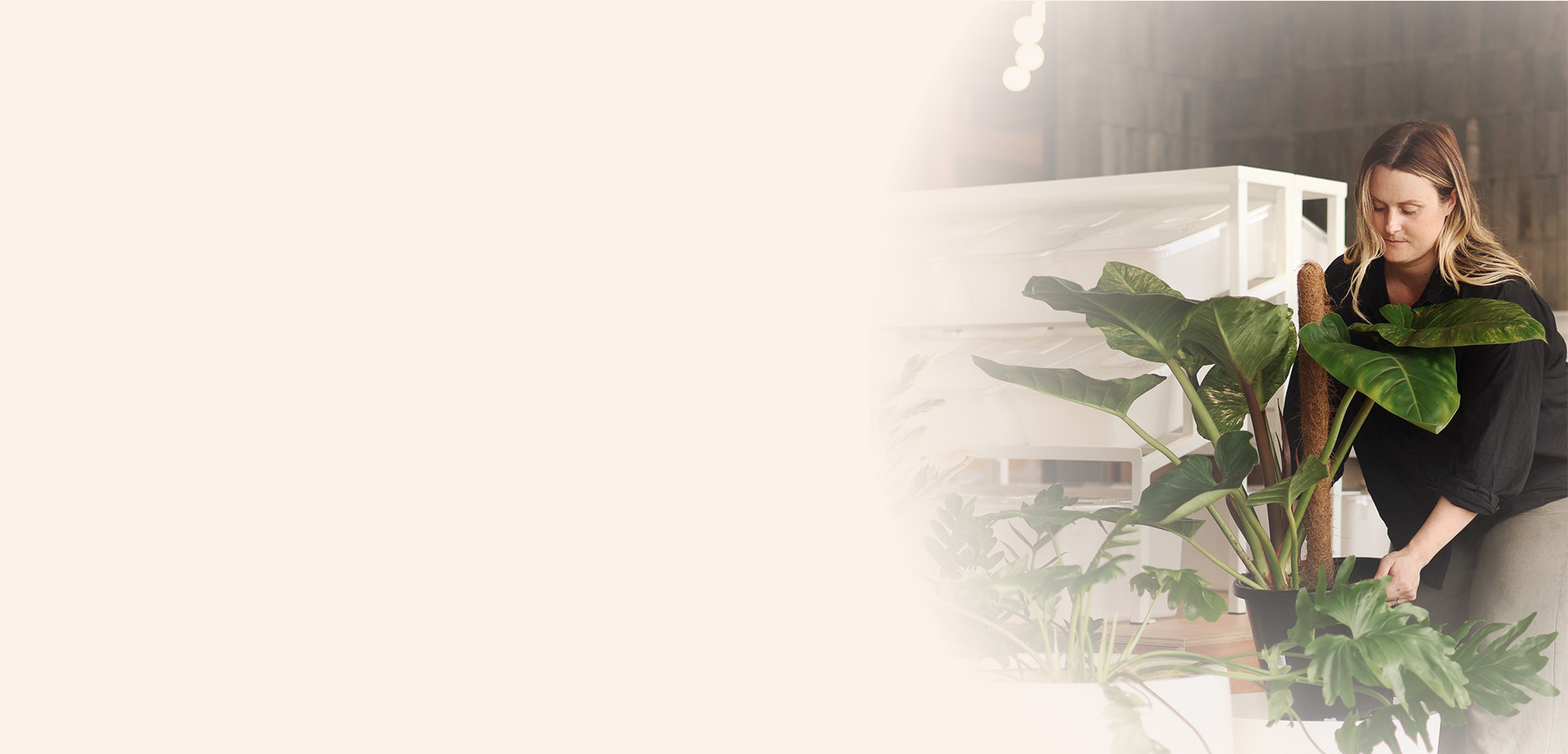 Image Slider